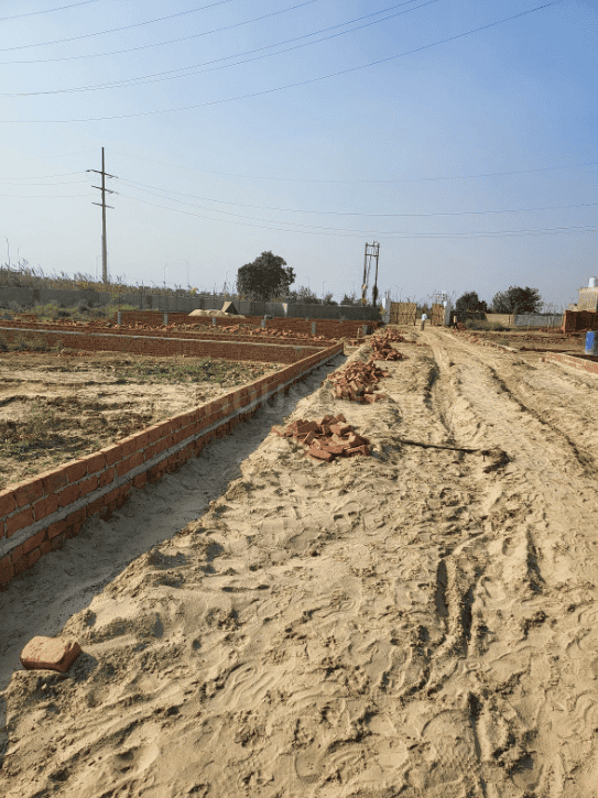 Rose N City - Image 2