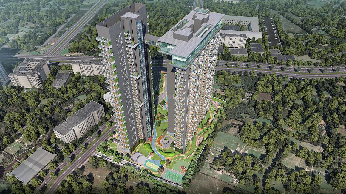 Apex D Rio - Image 2