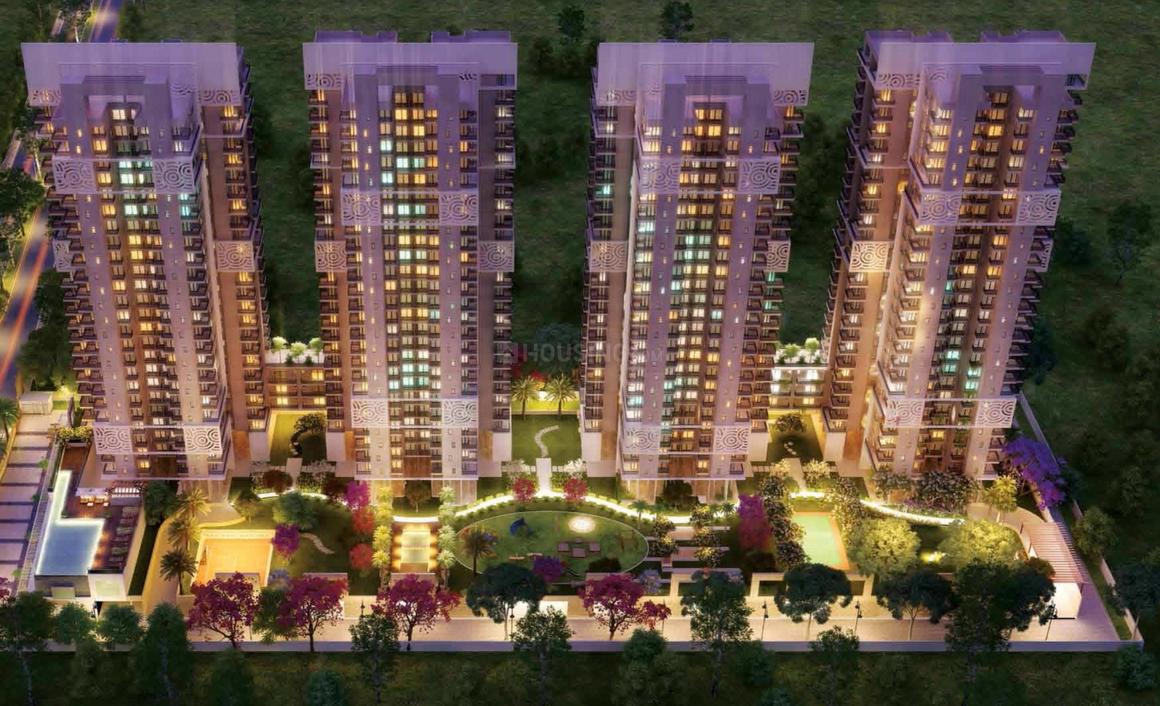 Ratan Pearls - Image 2