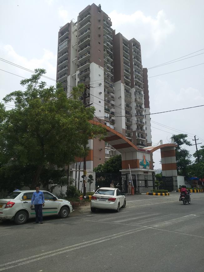 Gardenia AIMS MAX Gardenia Glory - Image 3