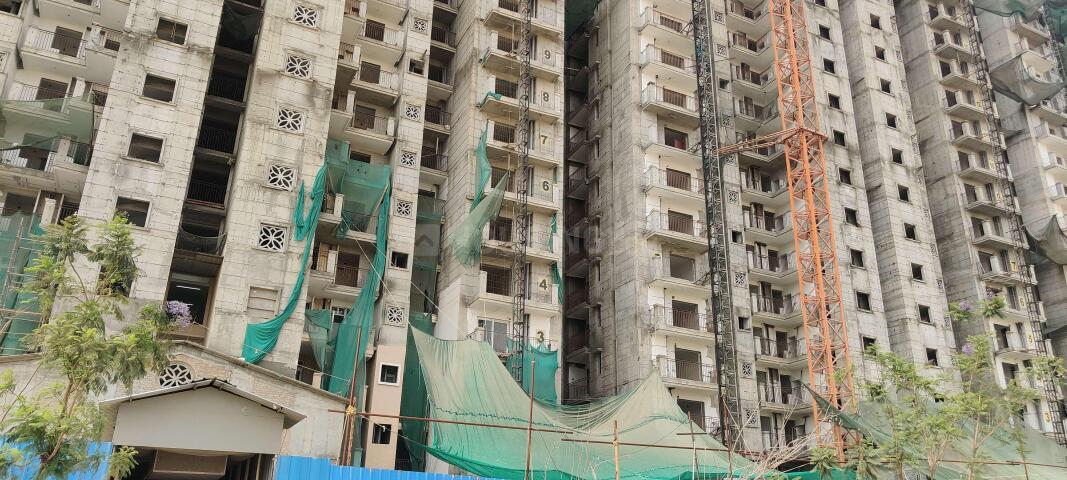 ATS Homekraft Pious Orchards - Image 20