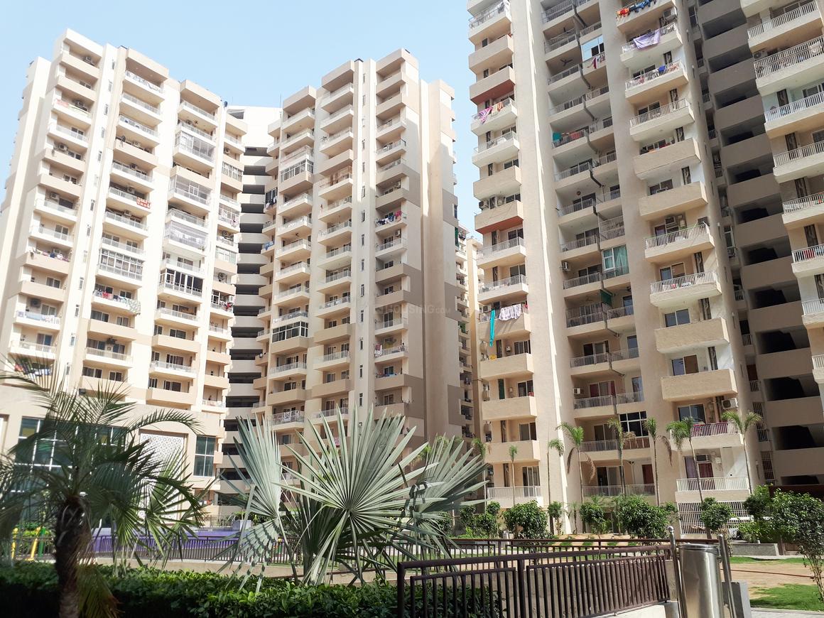 ACE Group Platinum Zeta 1 - Image 4