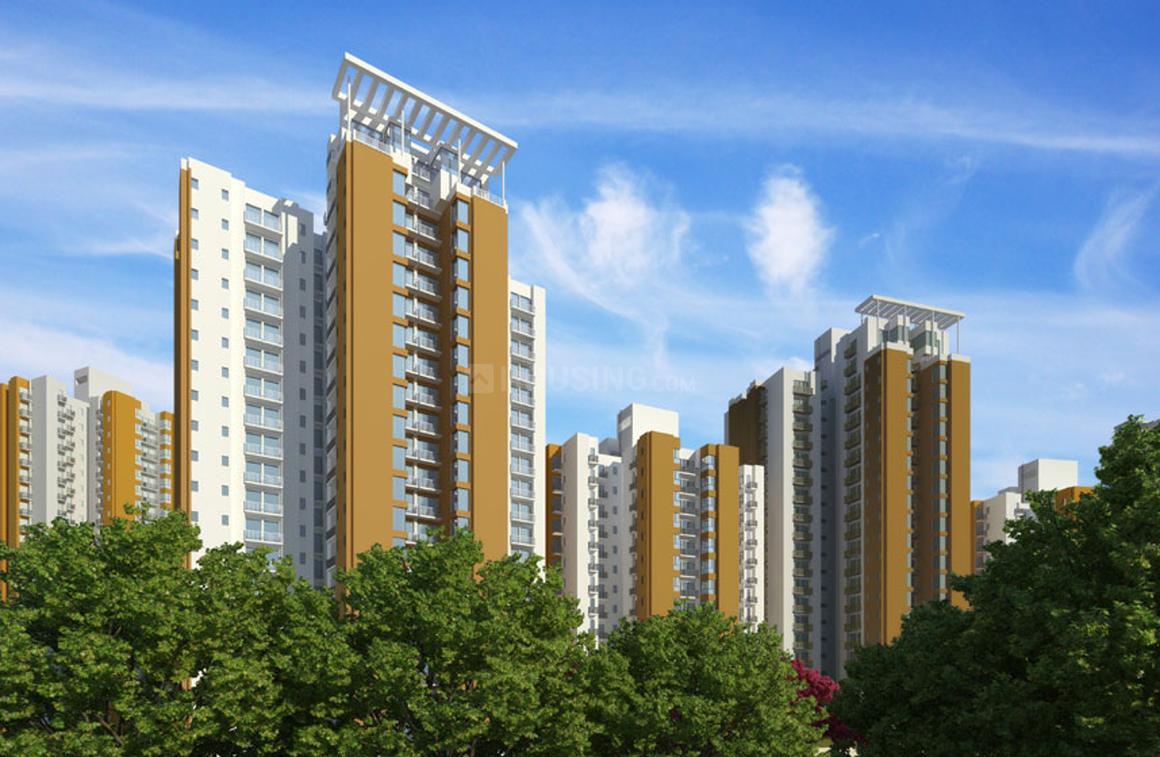 Jaypee Aman - Image 2