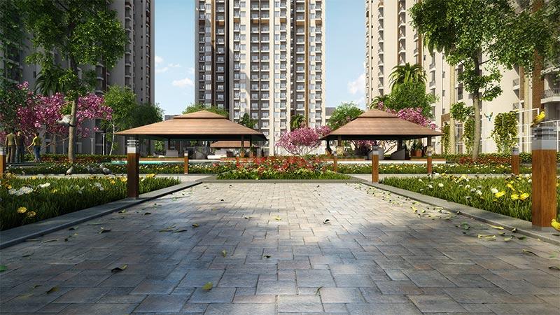 ACE Divino - Image 24