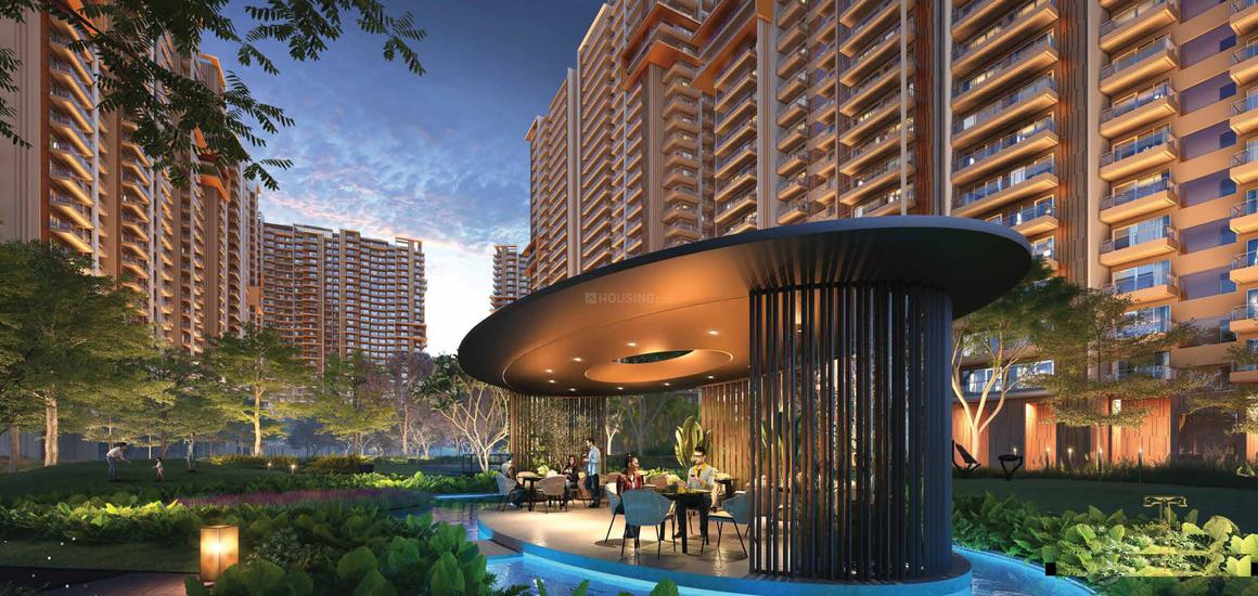 Ivory County Gold - Image 8