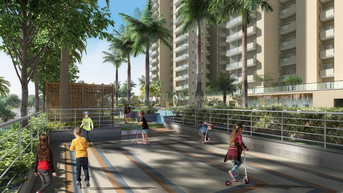 Irish Pearls - Image 9