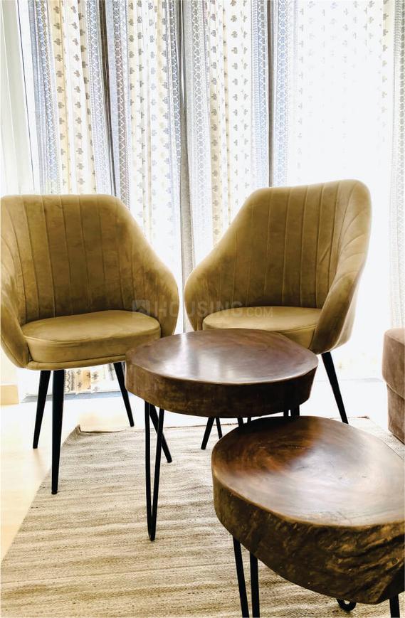 Beetle Orchid - Image 9