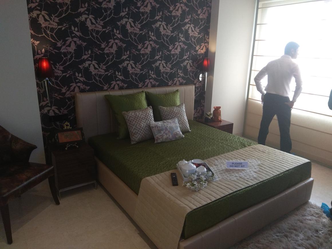 Saha Amadeus - Image 23