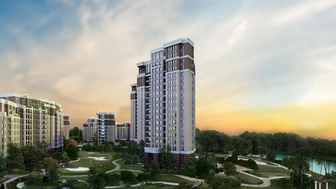 Lotus Greens Lotus Green - Image 2