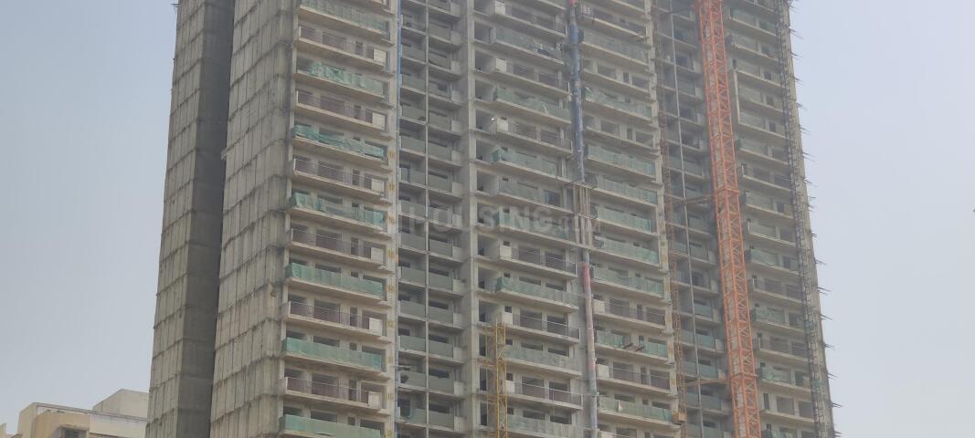 Prateek Canary - Image 44