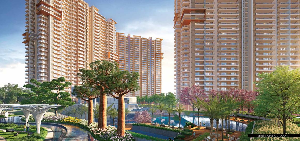 Ivory County Gold - Image 9