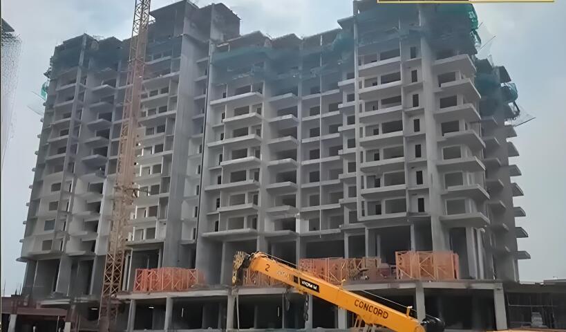 Ivory County Gold - Image 23