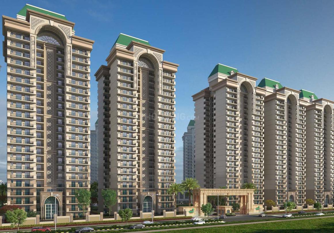 Sethi Venice - Image 4