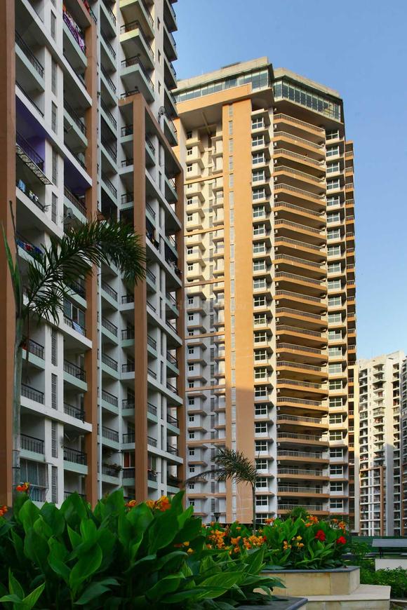 Mahagun Mascot - Image 4