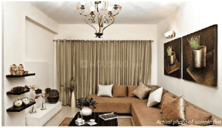 Sare Ebony Greens - Image 6