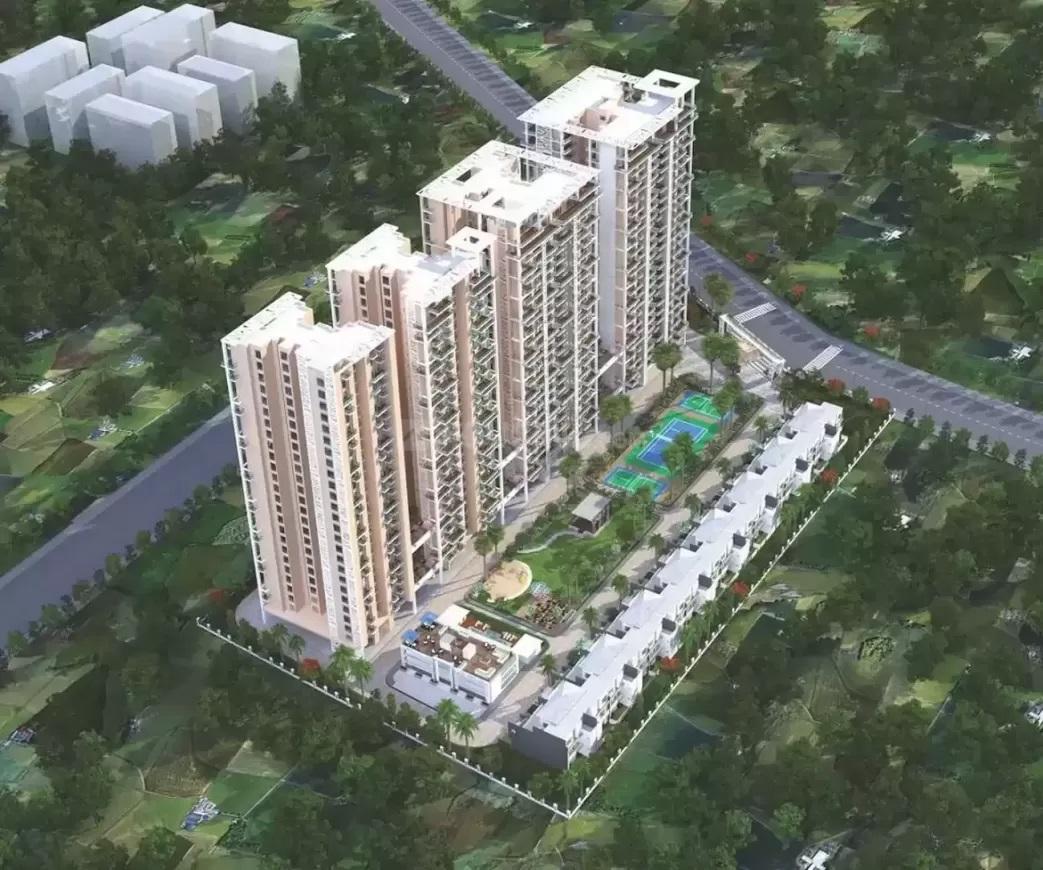 Sikka Kimaantra Greens - Image 2