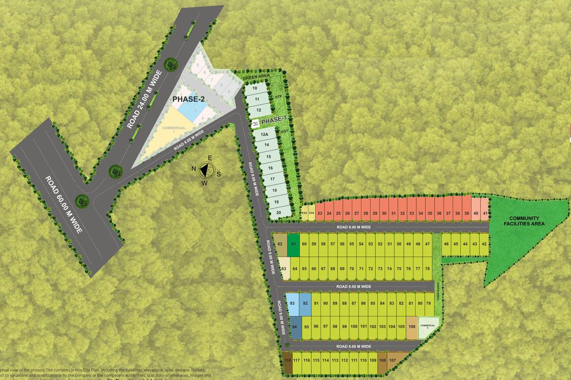 Pyramid Palm County - Image 4