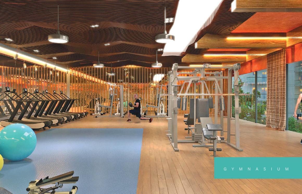 Renox Thrive - Image 10