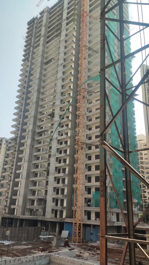 SKA Orion - Image 30