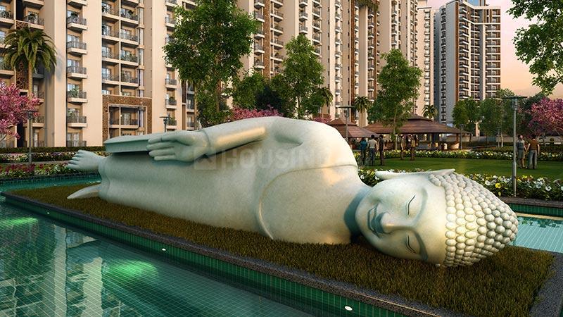 ACE Divino - Image 25