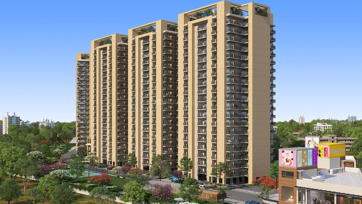 Sriflex City - Image 3