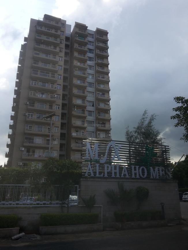 MSX Group Alpha Homes - Image 2