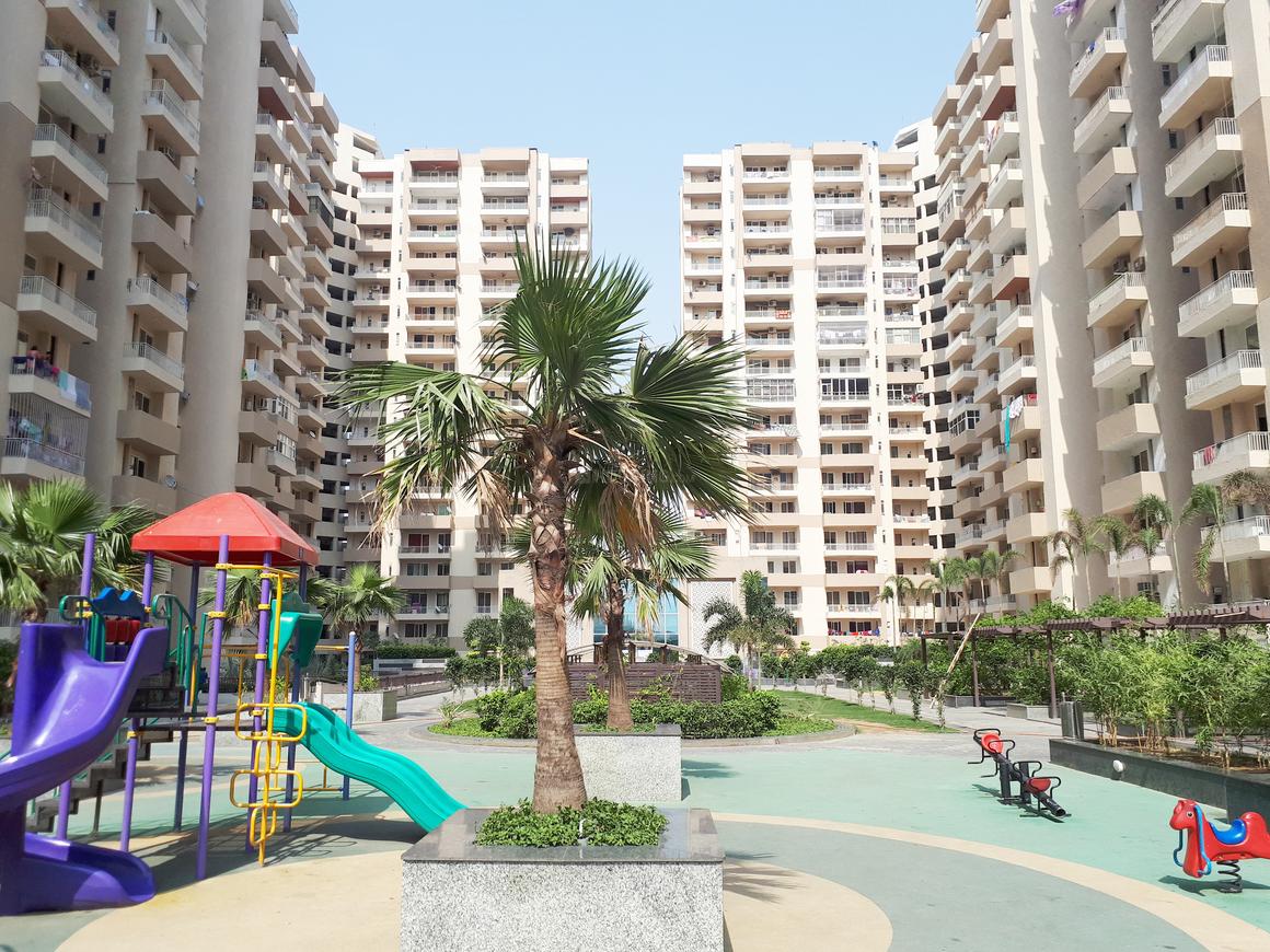 ACE Group Platinum Zeta 1 - Image 5