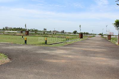 Gallery Cover Pic of Jones Glory Gardens