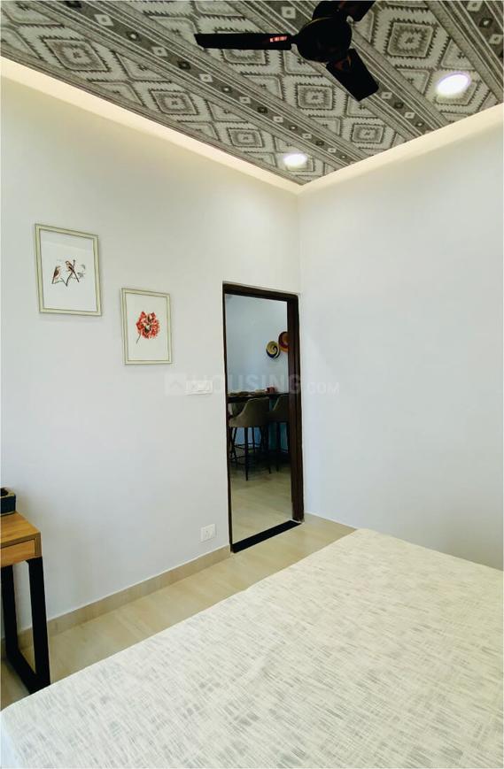 Beetle Orchid - Image 3