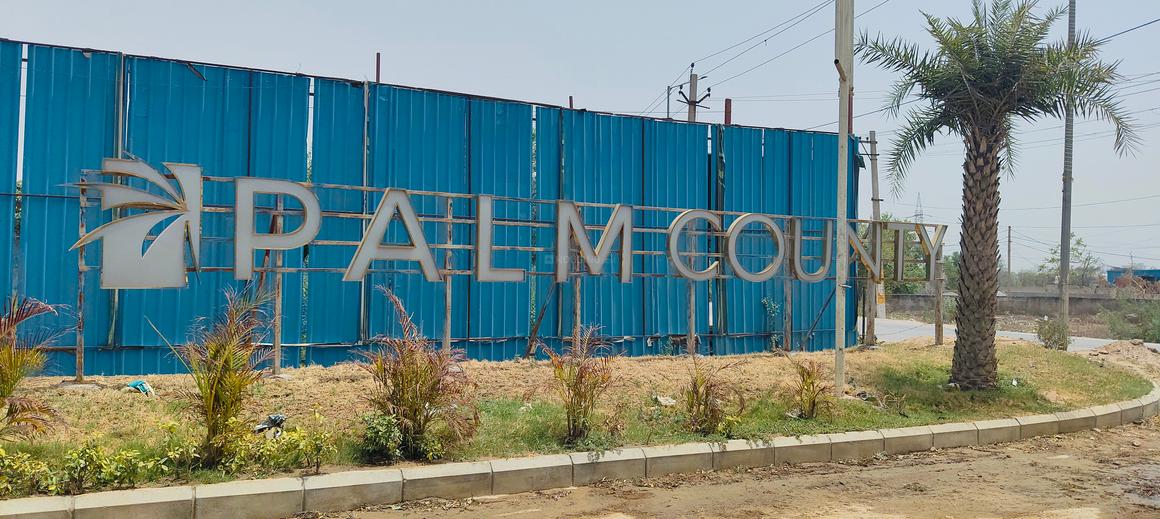 Pyramid Palm County - Image 10