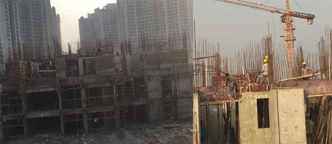 Shri Radha Aqua Garden - Image 41