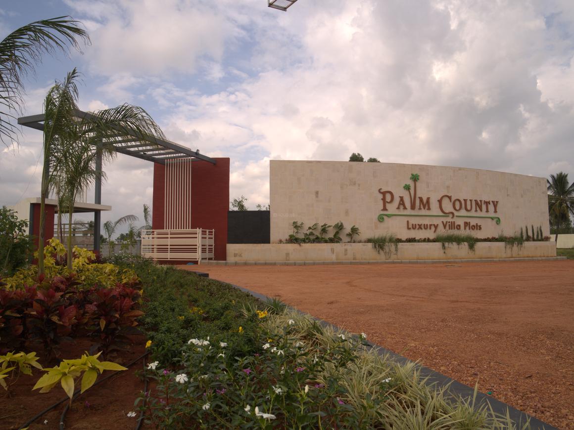 Palm County - Image 3