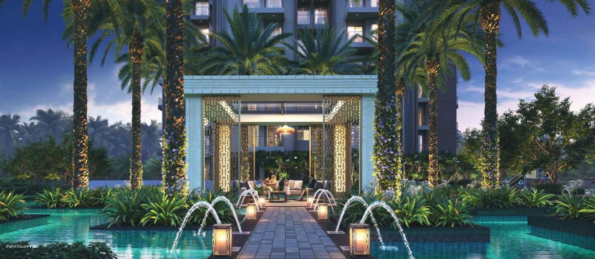 RG Pleiaddes - Image 6