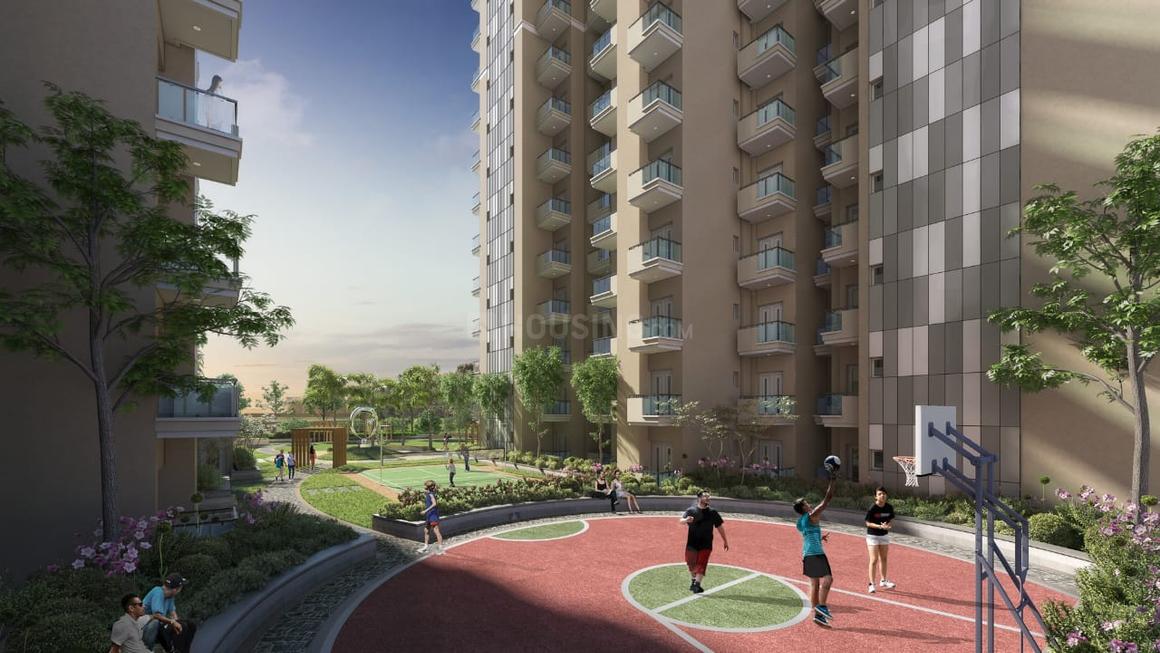 Irish Pearls - Image 11