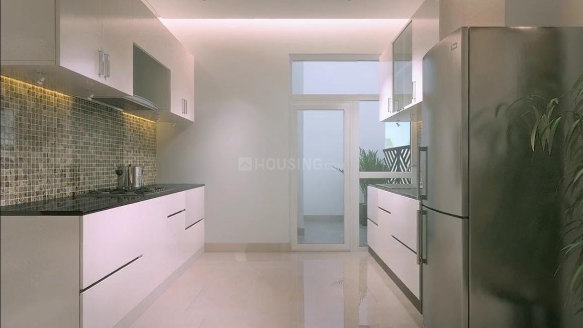 Sethi Venice - Image 15