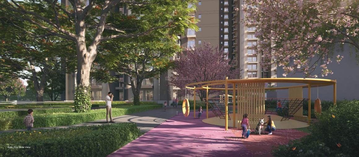 RG Pleiaddes - Image 7