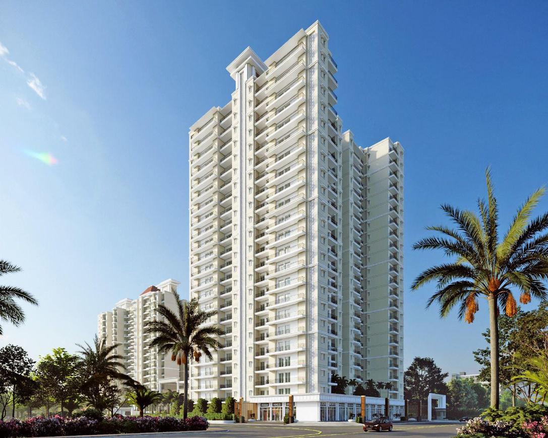 The Valley - Image 2