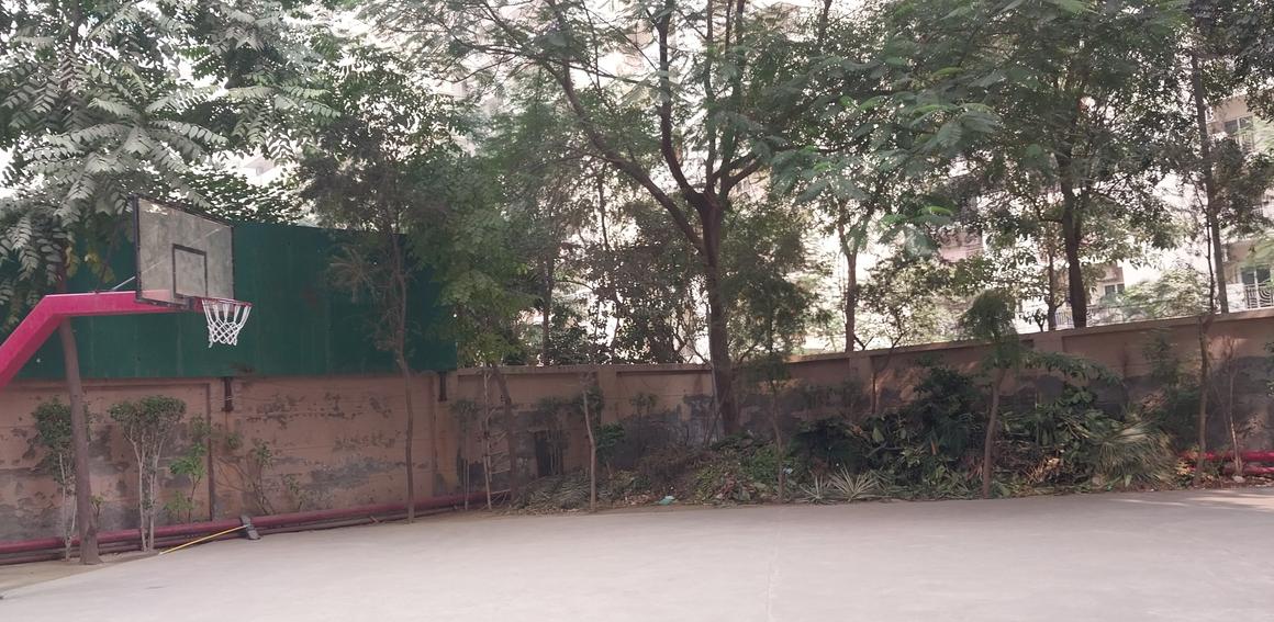 Sikka Karmic Greens - Image 31