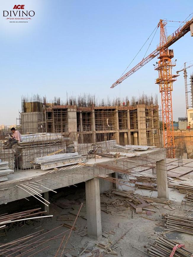 ACE Divino - Image 46