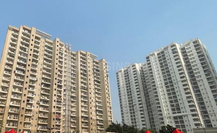 Nimbus The Golden Palms - Image 3