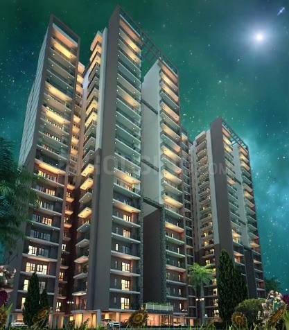 Wall Rock Victory Gold 24 - Image 5