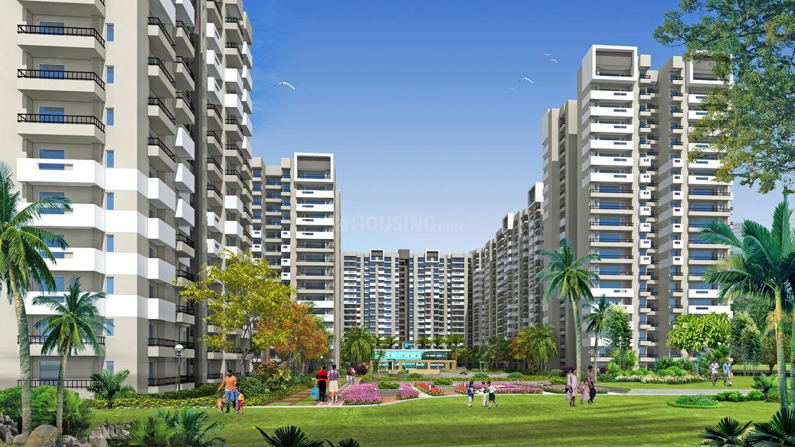 Exotica Fresco - Image 5