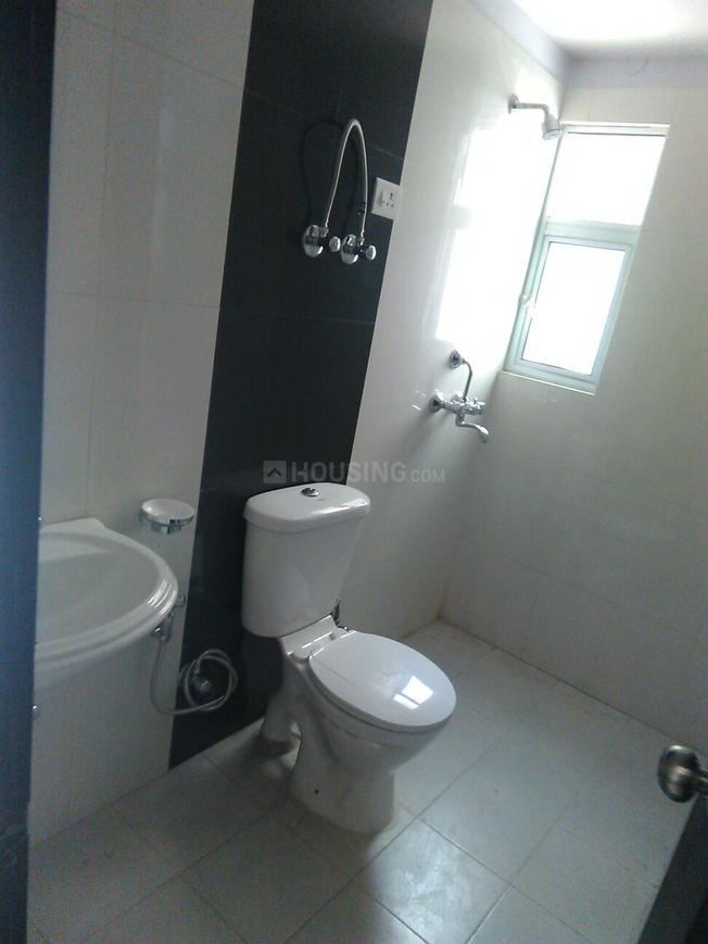 Primrose Ryne - Image 16