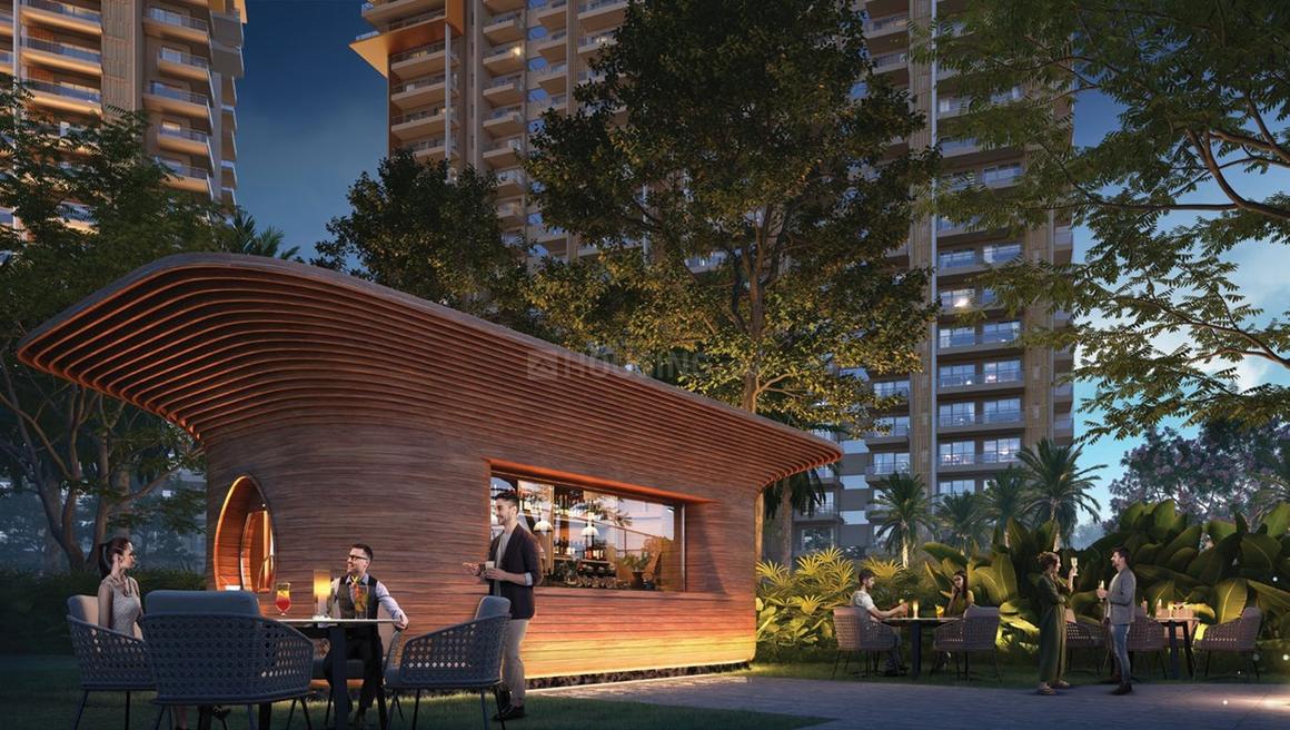 Ivory County - Image 6