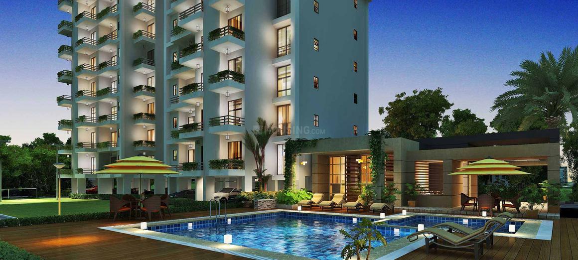 Sethi Max Royal - Image 19