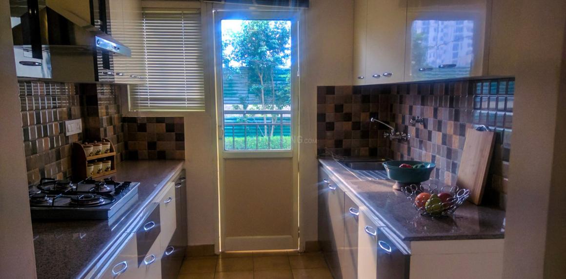 Stellar One - Image 9