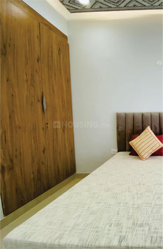 Beetle Orchid - Image 4