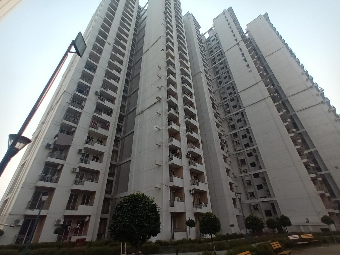 The 3C Lotus Zing - Image 3