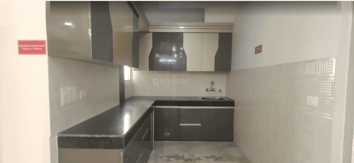 Divyansh Onyx - Image 16