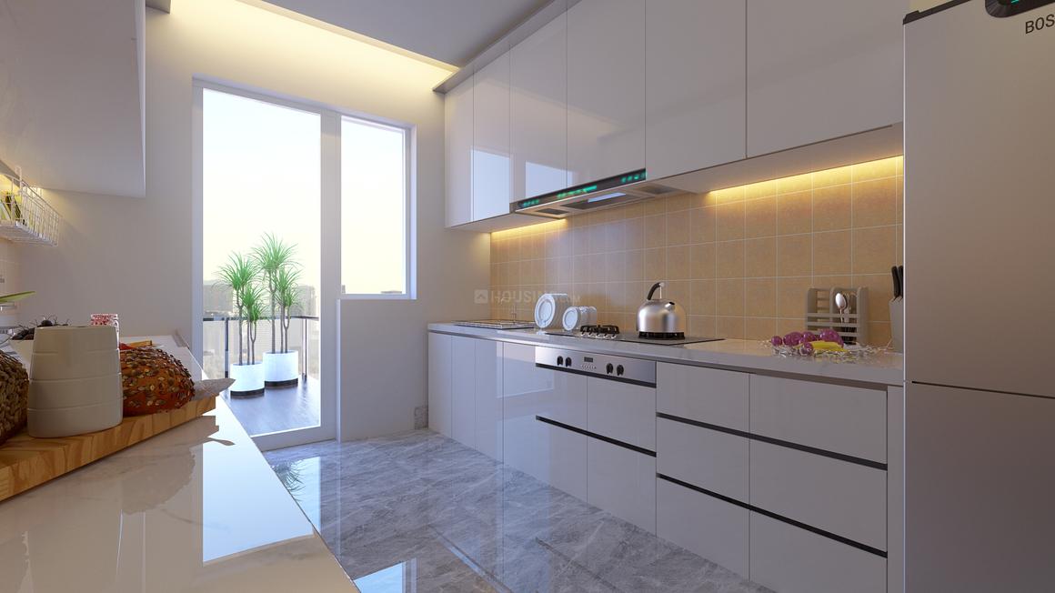 Apex D Rio - Image 15